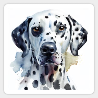 Watercolor Black and White Head Dalmatian Portrait Magnet